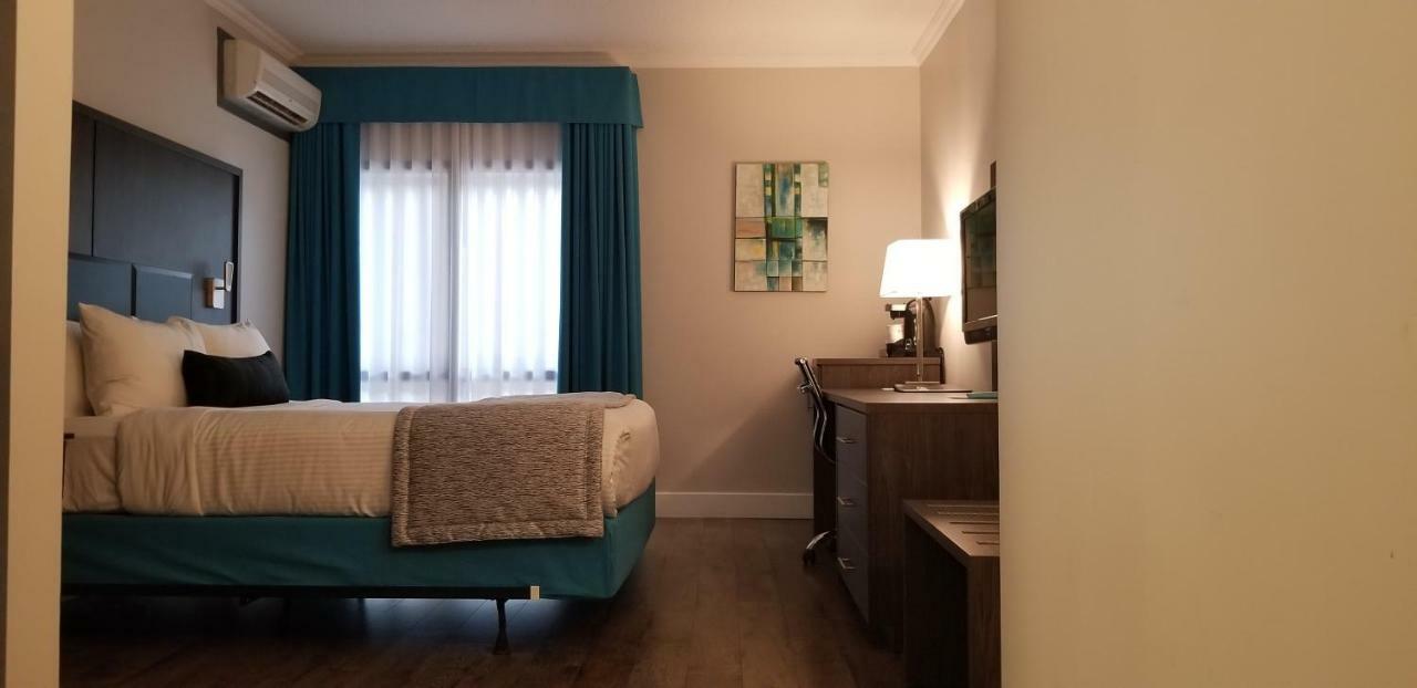 Queen Room - Non-Smoking,812893554:JPEG